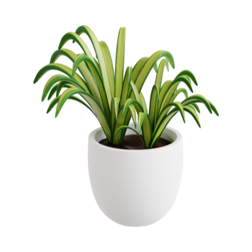 Air Purifying Plants